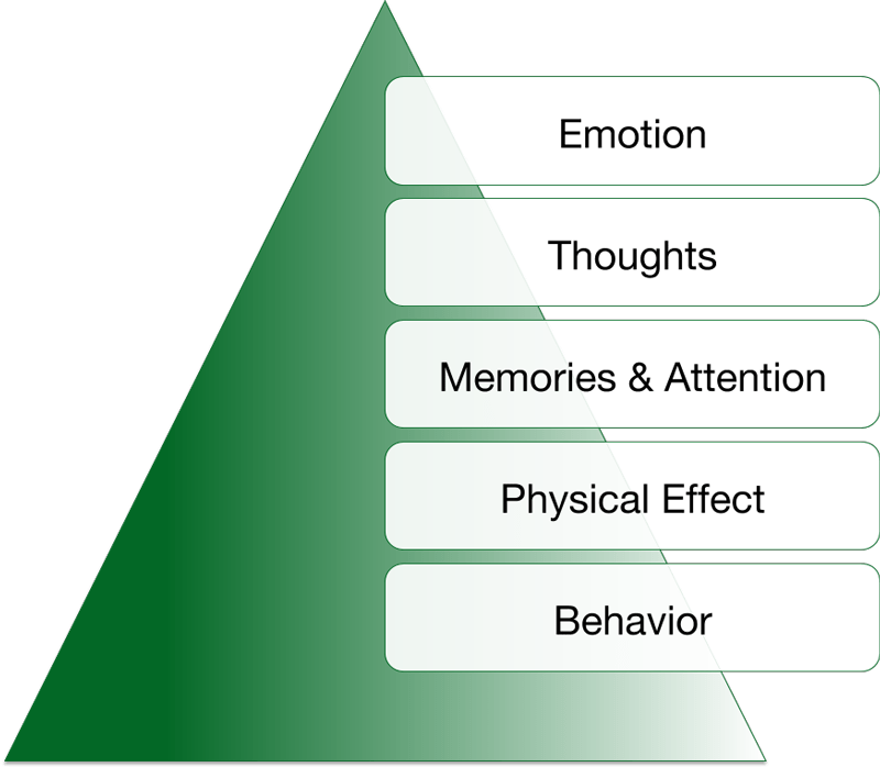 Components of Emotions